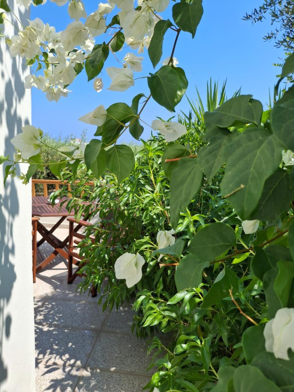 Eleonas Aparments 2 House in Lasithi