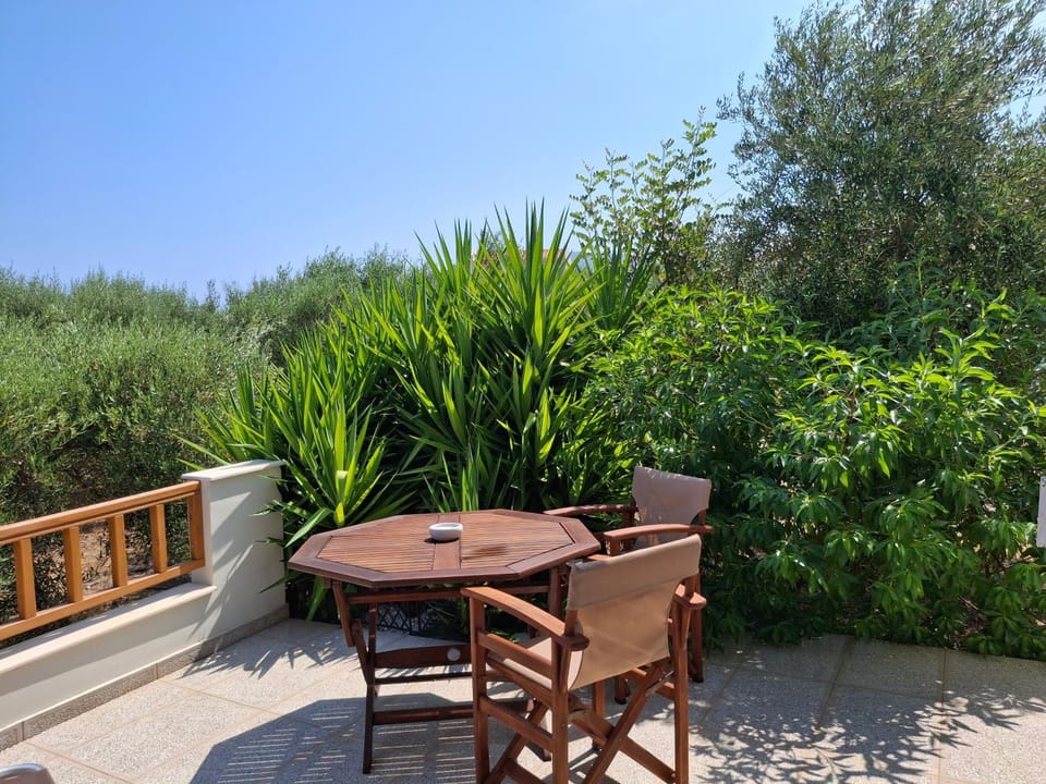 Eleonas Aparments 2 House in Lasithi