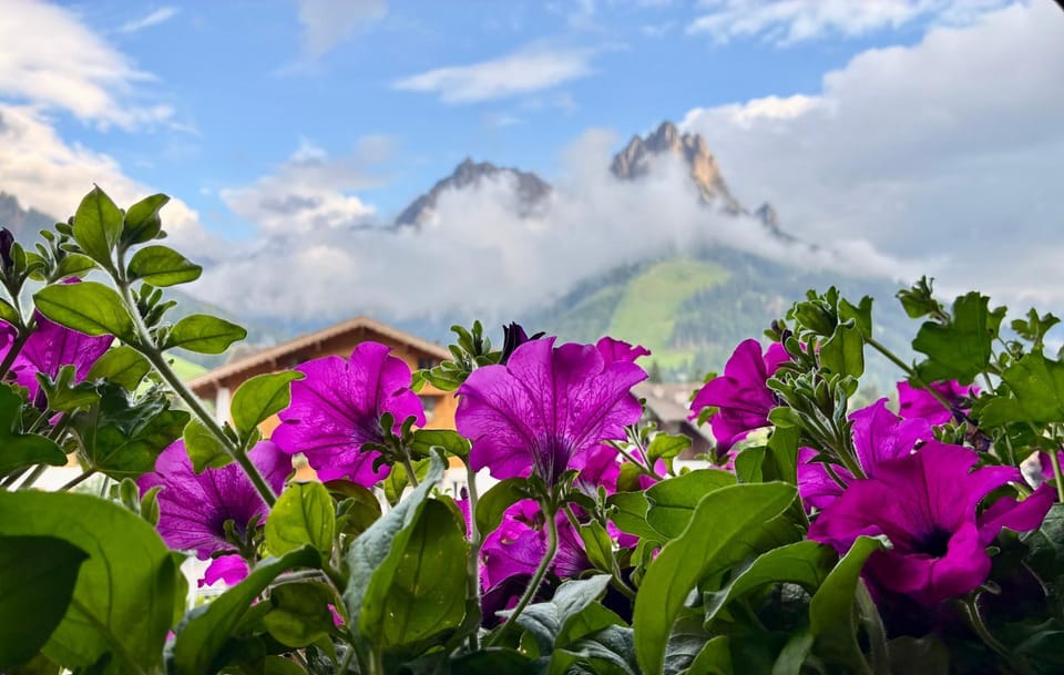 La Perla di Pera Bed and Breakfast in Pozza di Fassa