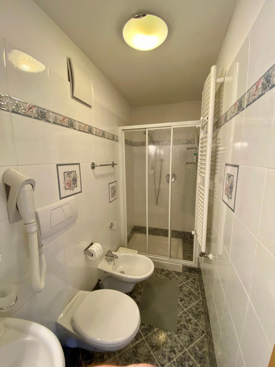 Shower, Toilet, Bathroom, bidet