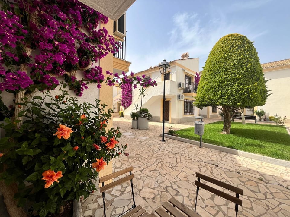 Property building, Garden, Garden view