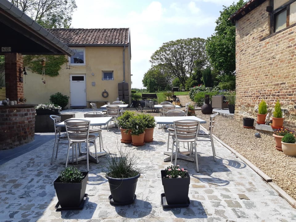 Garden, Balcony/Terrace