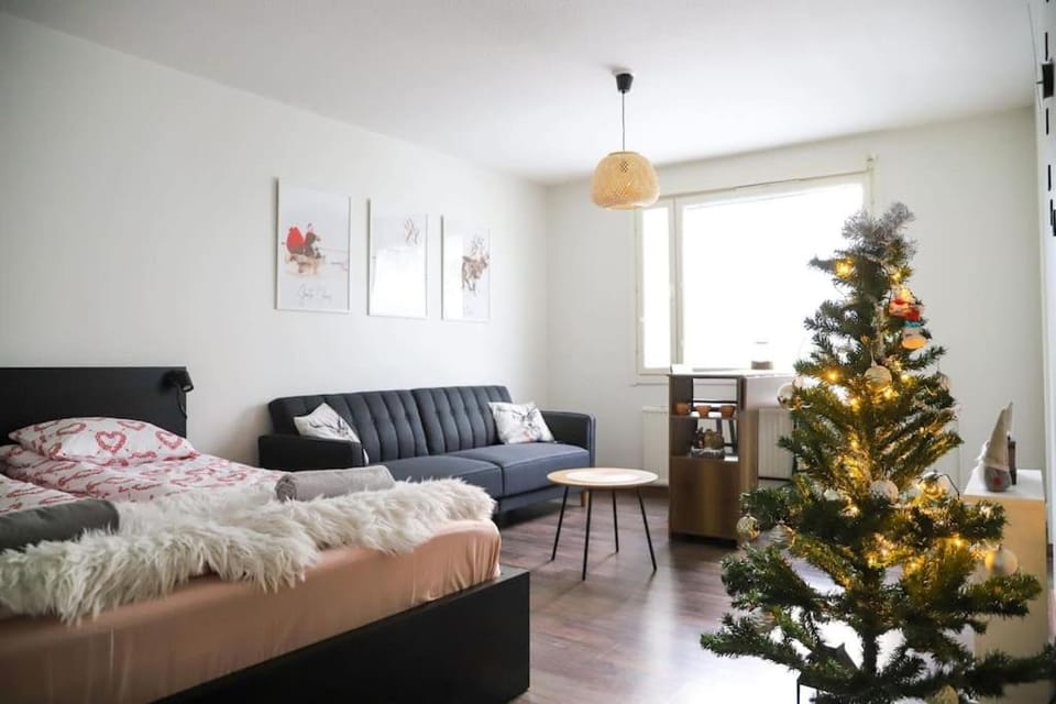 Rovaniemi City Centre Apartment Apartment in Rovaniemi
