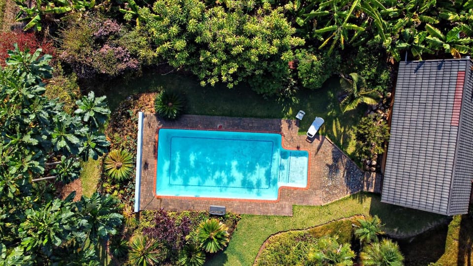 Garden, Swimming pool