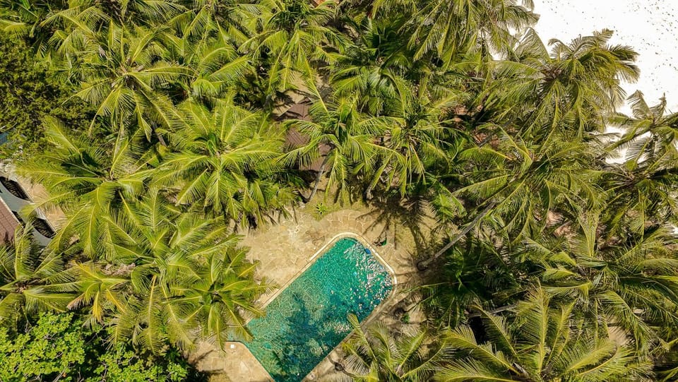 Bird's eye view, Garden, Pool view, Swimming pool