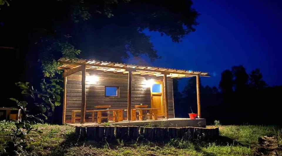 LAKE FISHING Resort Apartment in Slovenia