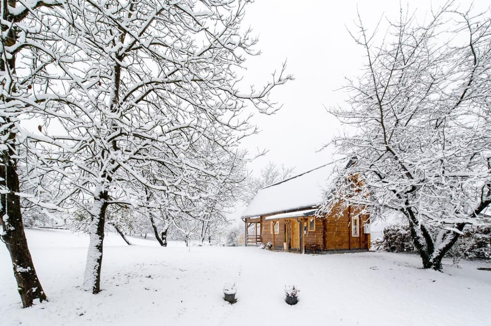 Day, Natural landscape, Winter