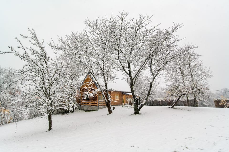 Day, Natural landscape, Winter
