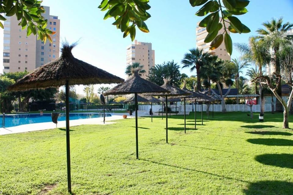 Garden, Garden view, Pool view, Swimming pool