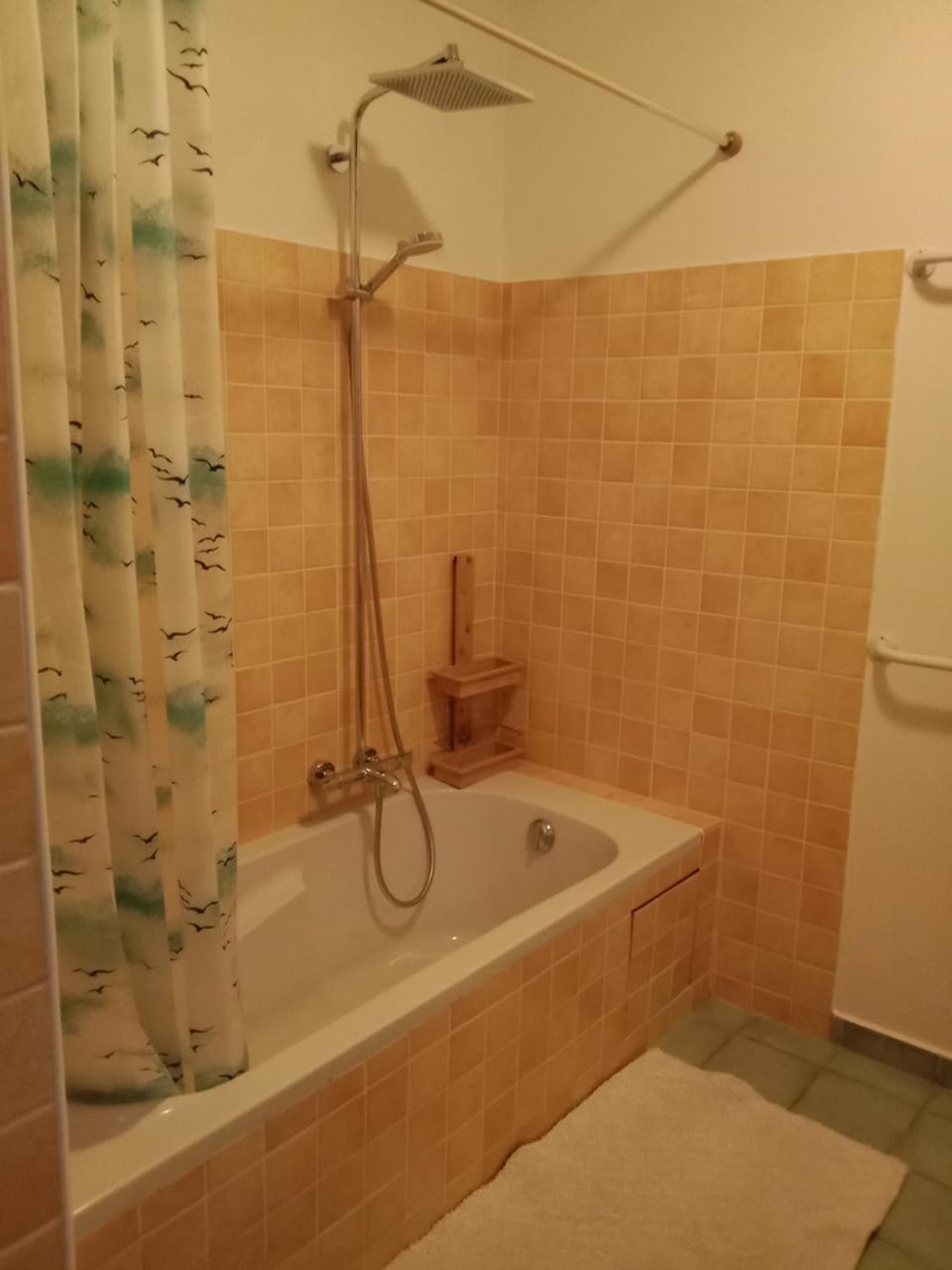 Shower, Bathroom, Bath