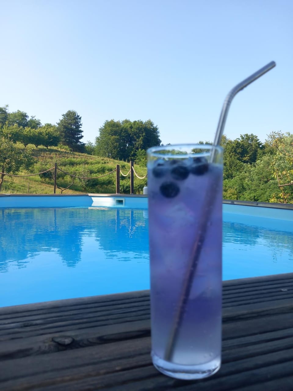 OPG Rose Hip Hill ekološko imanje Apartment in Slovenia