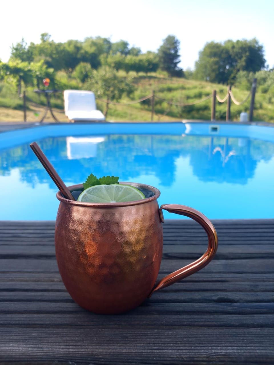 OPG Rose Hip Hill ekološko imanje Apartment in Slovenia