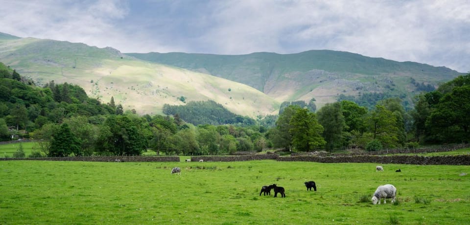 Panoramic Views & Spacious Living by LetMeStay House in Allerdale District
