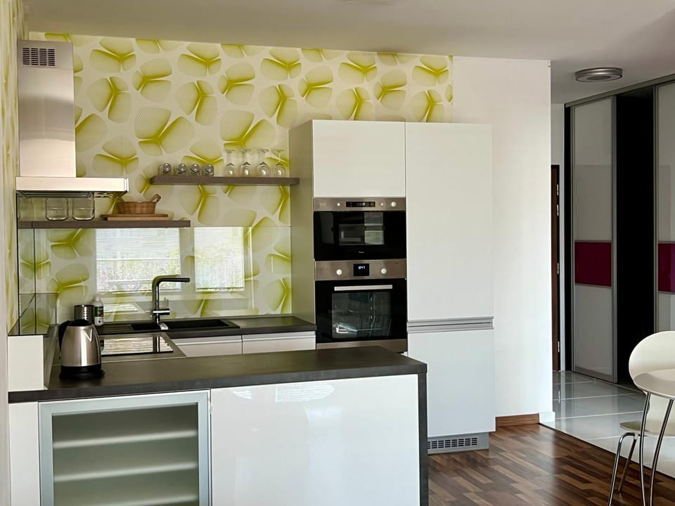 Kitchen or kitchenette, oven
