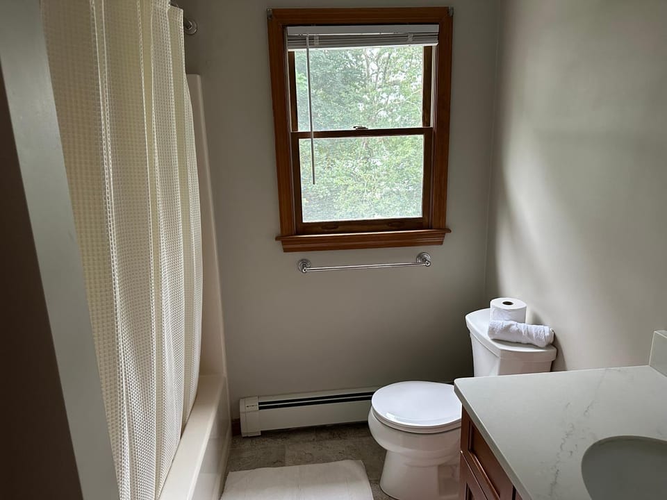 Boston Single Family House - 19' Train to Back Bay House in West Roxbury