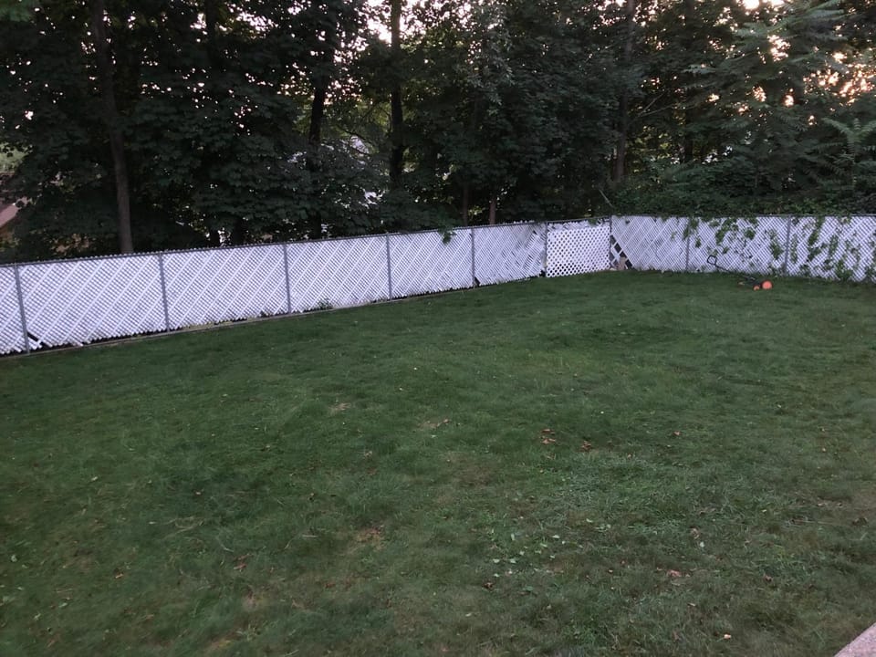 Boston Single Family House - 19' Train to Back Bay House in West Roxbury