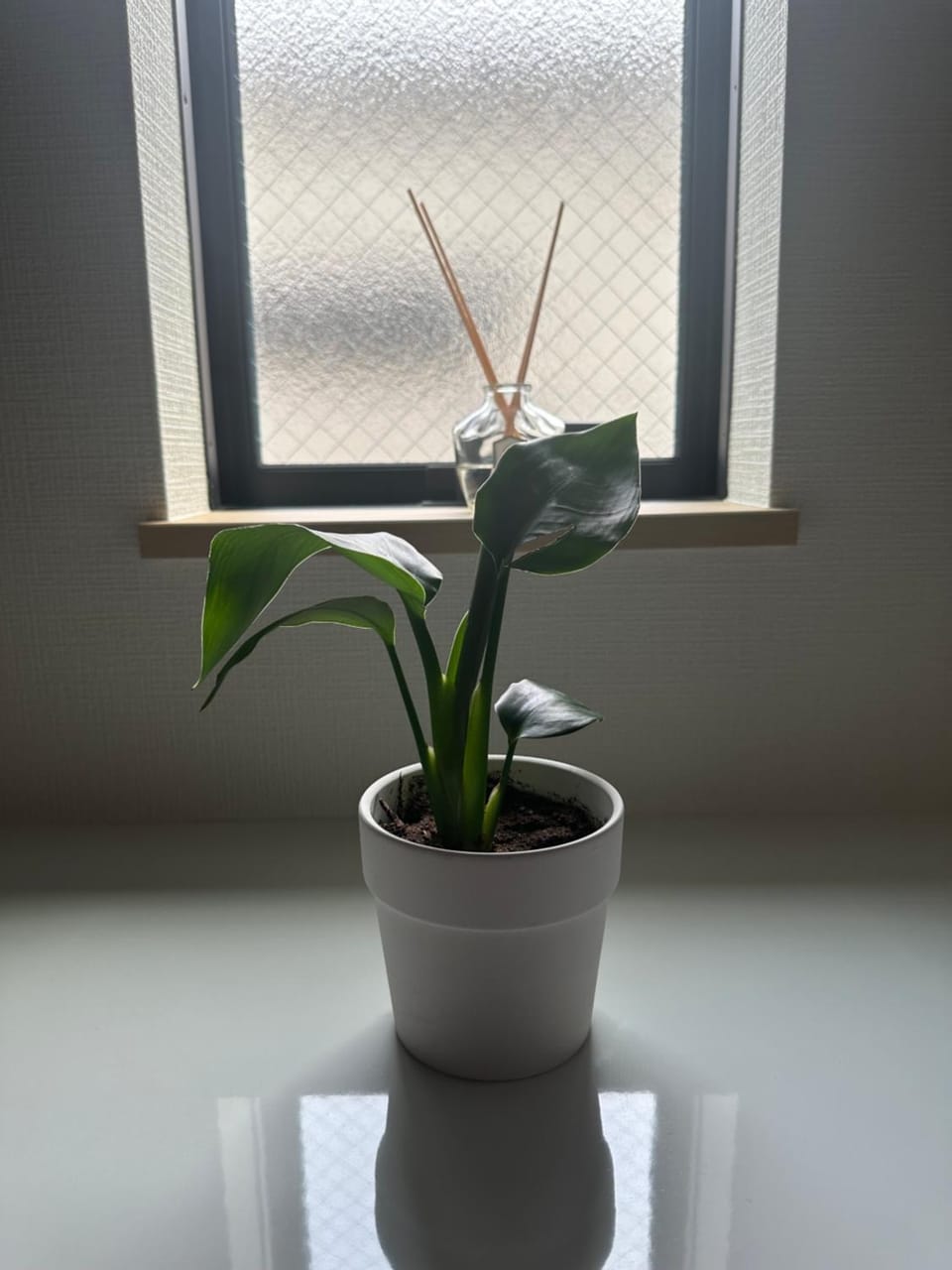 桜の旅 Apartment in Saitama Prefecture