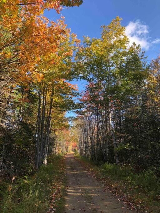 Chalet des rennes Chalet in New Brunswick