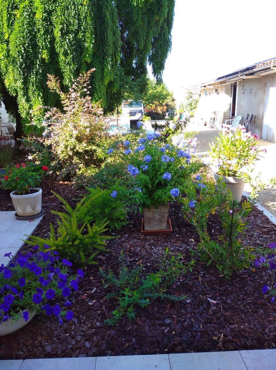L'Acacia Bed and Breakfast in Bergerac