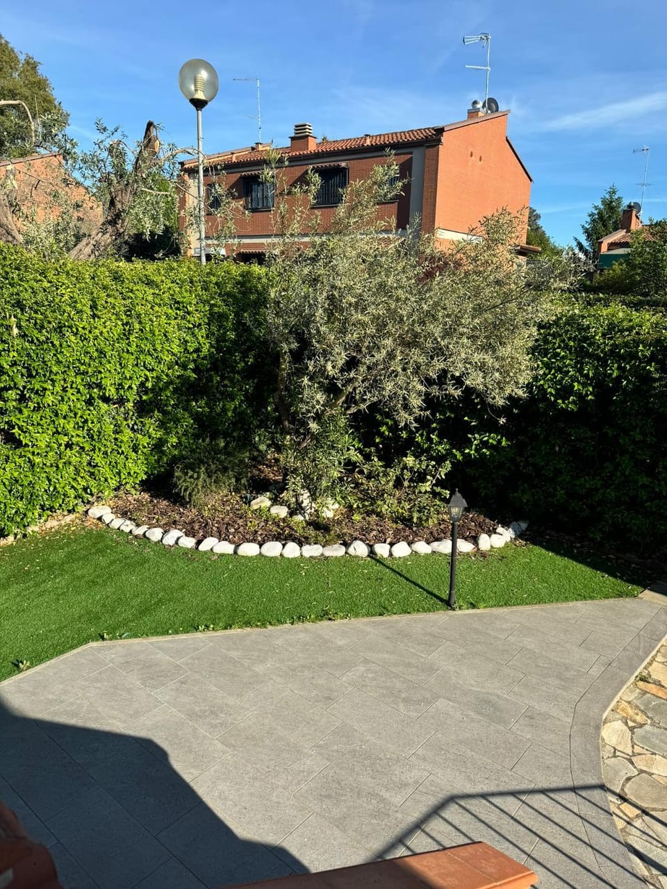 Garden view