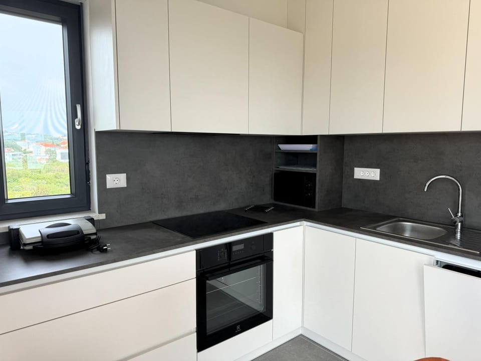 Kitchen or kitchenette, dishwasher
