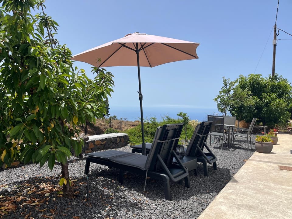 Patio, Garden, Garden view, sunbed