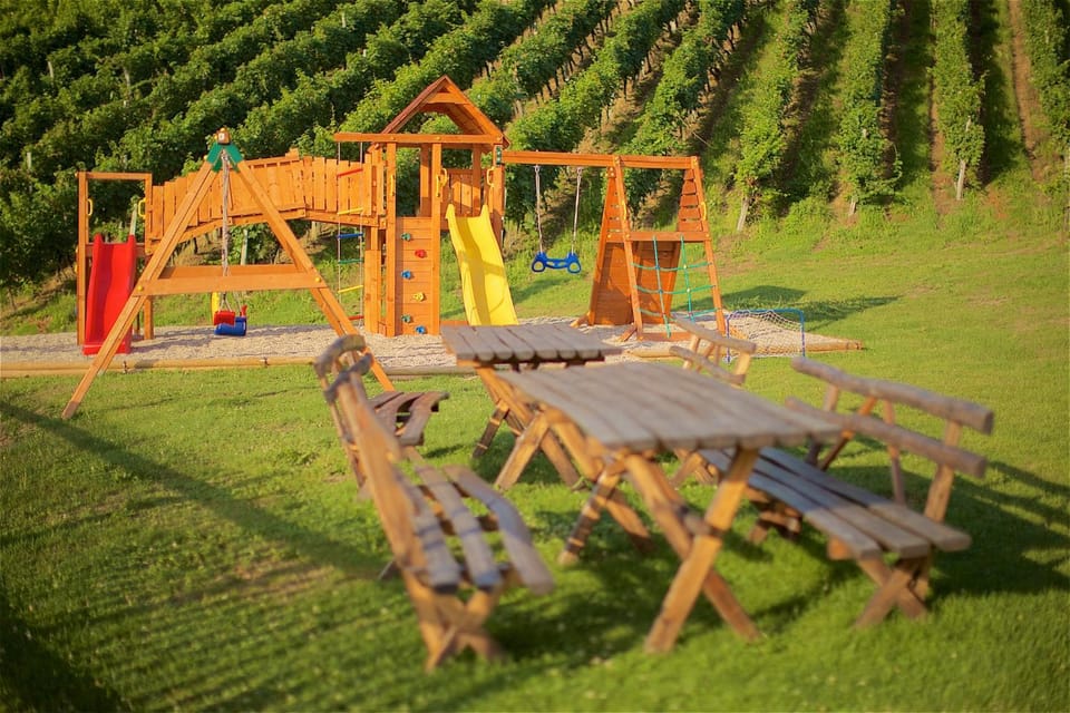 Children play ground, Garden