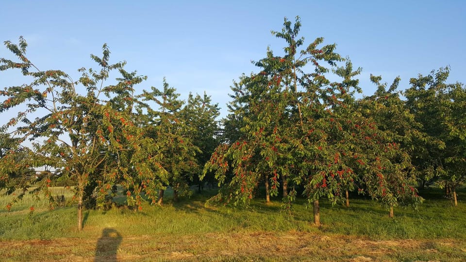 Natural landscape