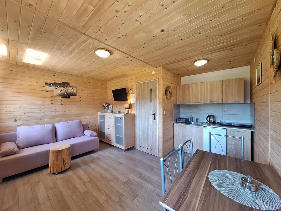 TV and multimedia, Kitchen or kitchenette, Living room, Seating area, Dining area, internet, internet, internet, microwave, oven, pet friendly, stove