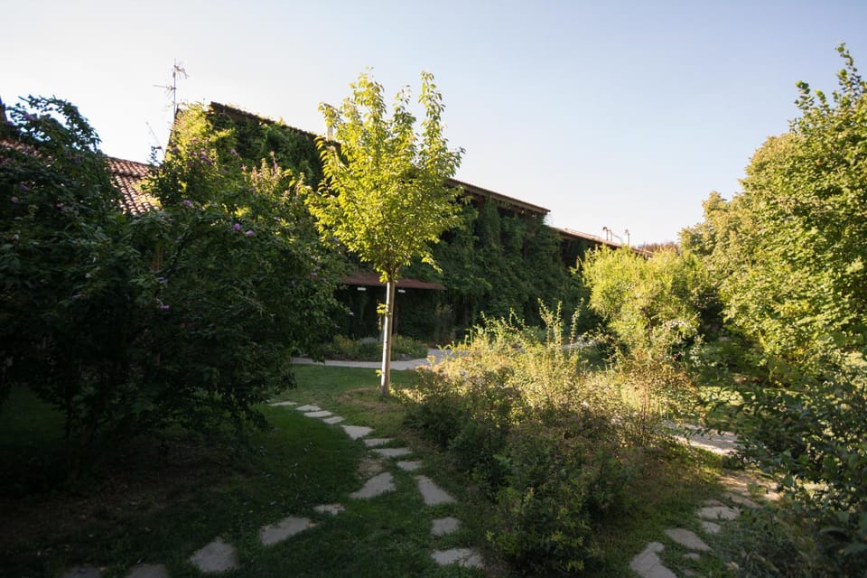 Property building, Day, Garden