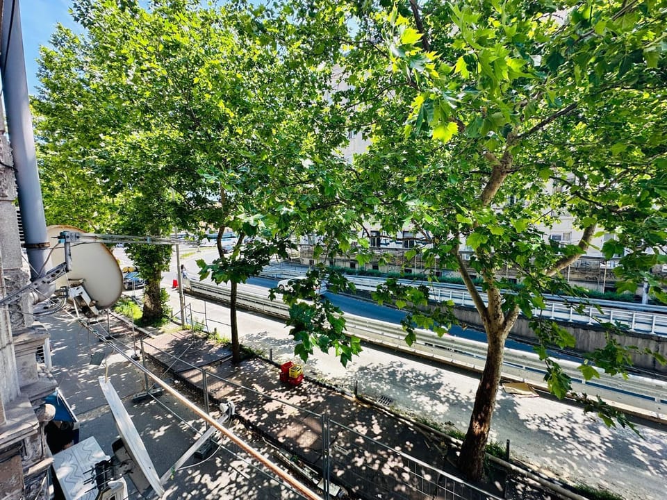 Day, View (from property/room), Garden view