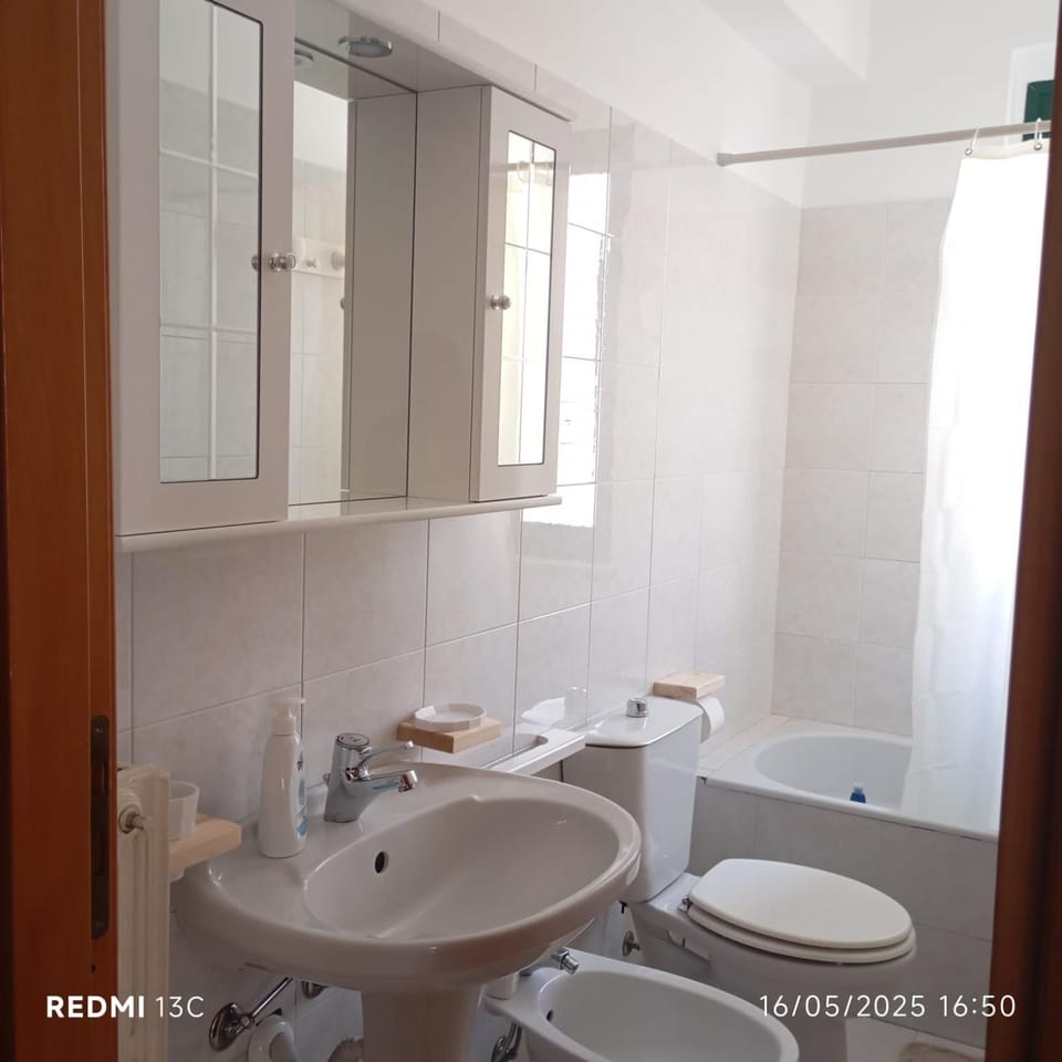 Toilet, TV and multimedia