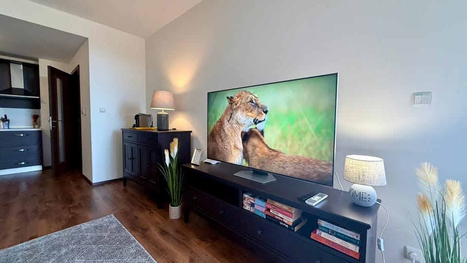 TV and multimedia