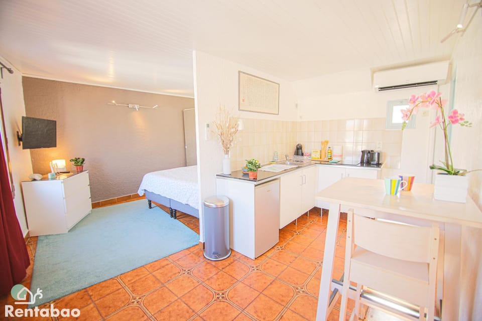 TV and multimedia, Kitchen or kitchenette, Living room, Photo of the whole room, Decorative detail, Seating area, Dining area