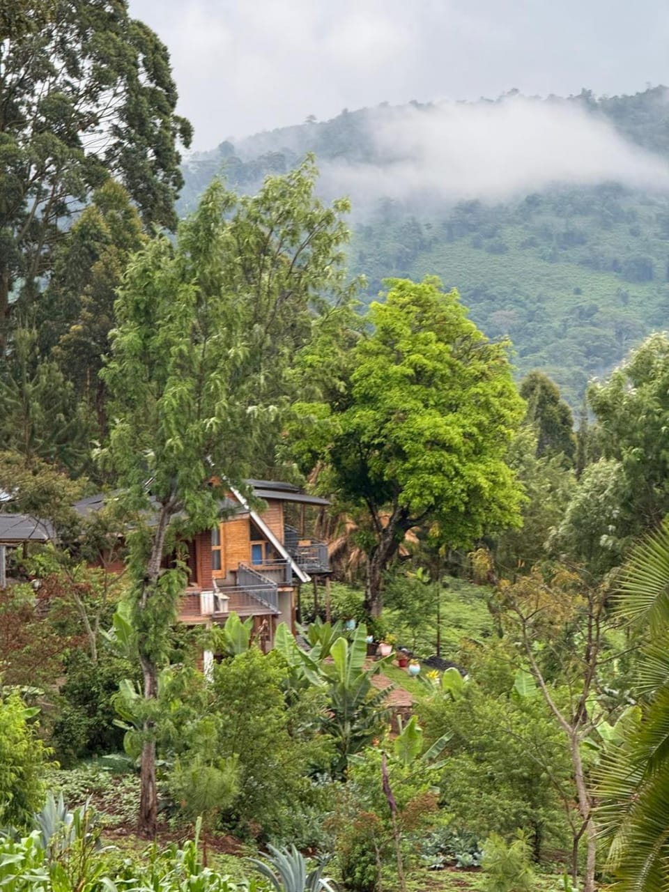 Property building, Day, Natural landscape, Garden, Garden view, Mountain view