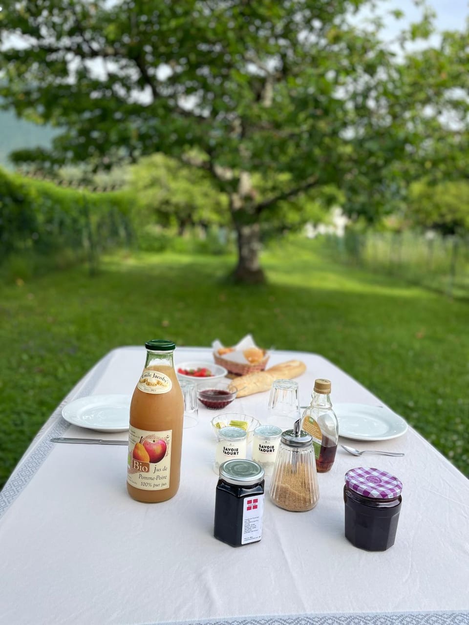 Natural landscape, Garden, Food and drinks, Food, Garden view, Breakfast, Drinks