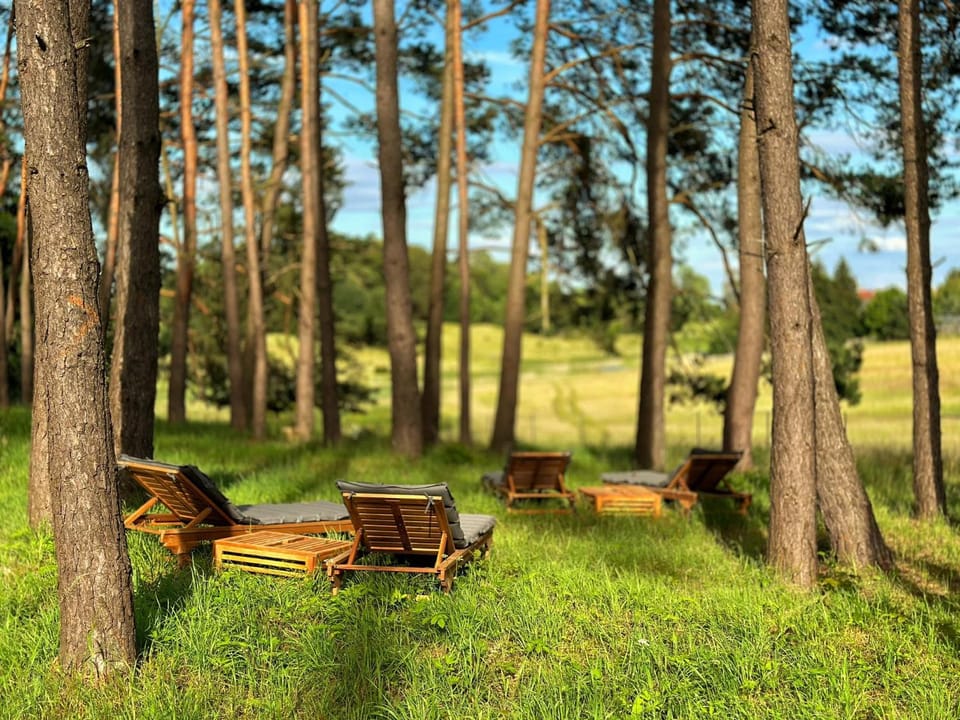 Natural landscape, Garden