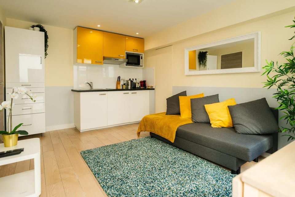 Beautiful yellow apartment near Marais and Bastille Apartment in Paris
