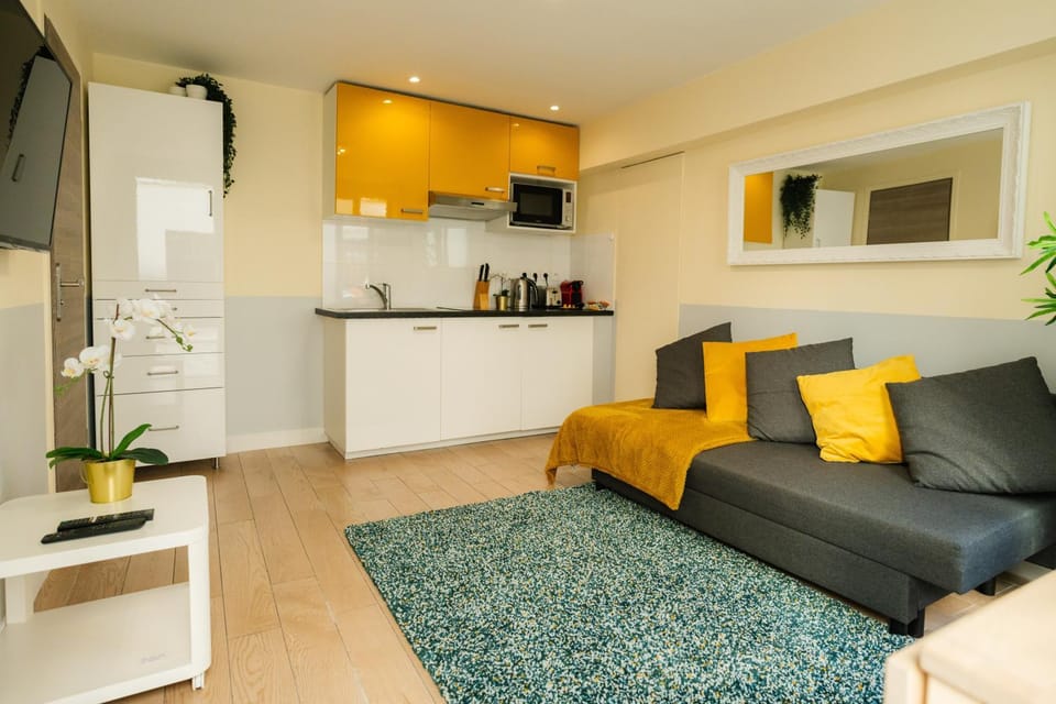 Beautiful yellow apartment near Marais and Bastille Apartment in Paris
