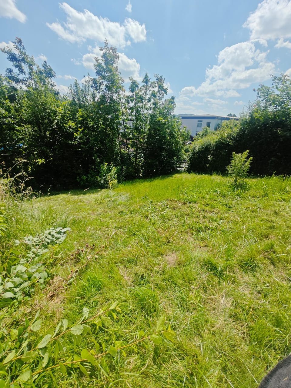 Garden, Garden view