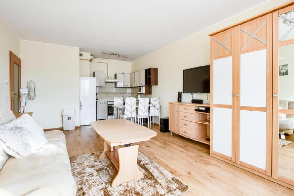 TV and multimedia, Kitchen or kitchenette, Living room, oven, wardrobe