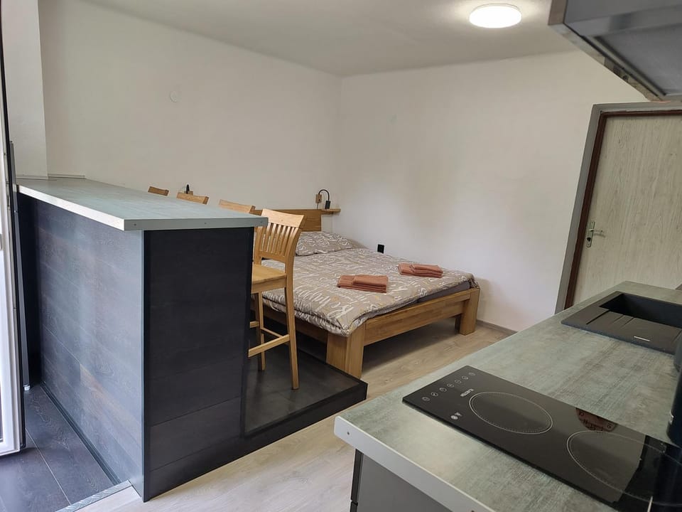 Lipno Pearl 4 Apartment in Lipno nad Vltavou