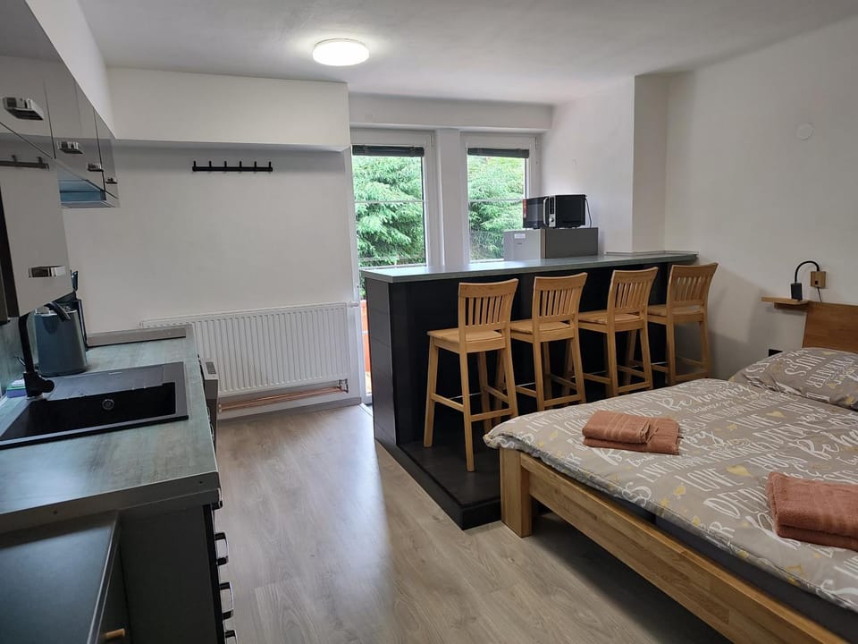 Lipno Pearl 4 Apartment in Lipno nad Vltavou