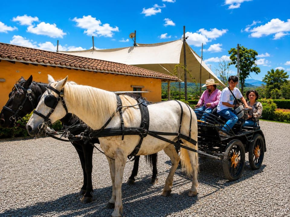 Activities, Horse-riding