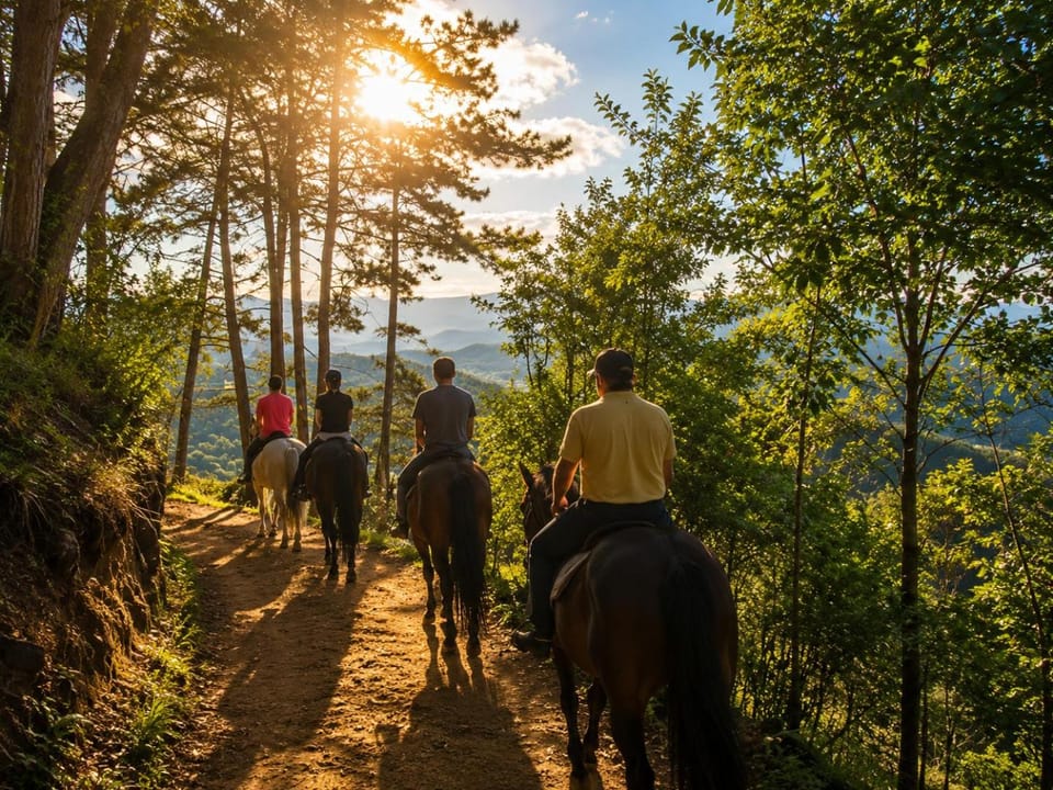 Activities, Horse-riding