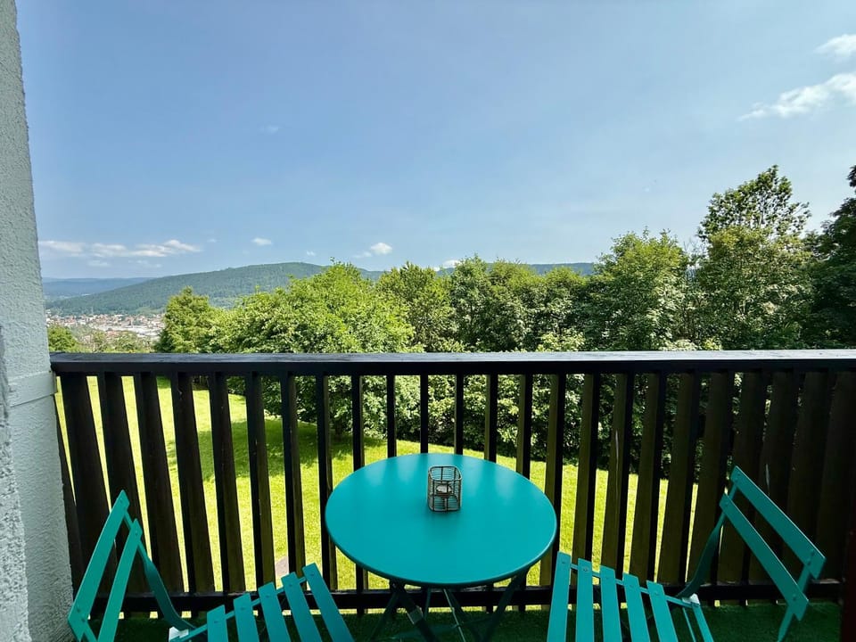 Les Xettes, bel appartement style chalet & balcon Apartment in Gérardmer