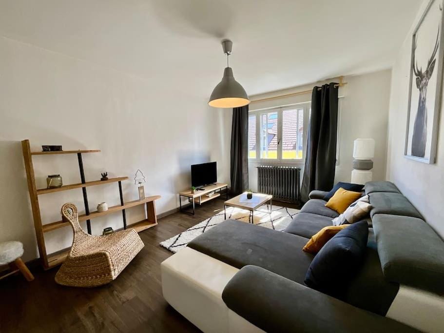 Epicea, bel appartement avec balcon au centre ville Apartment in Gérardmer