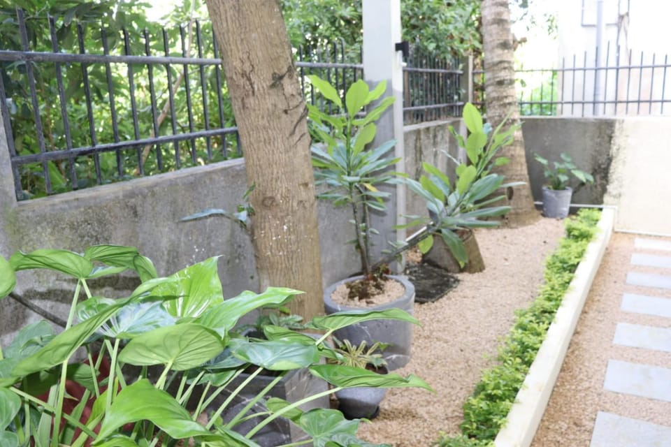 Property building, Day, Garden, Garden view