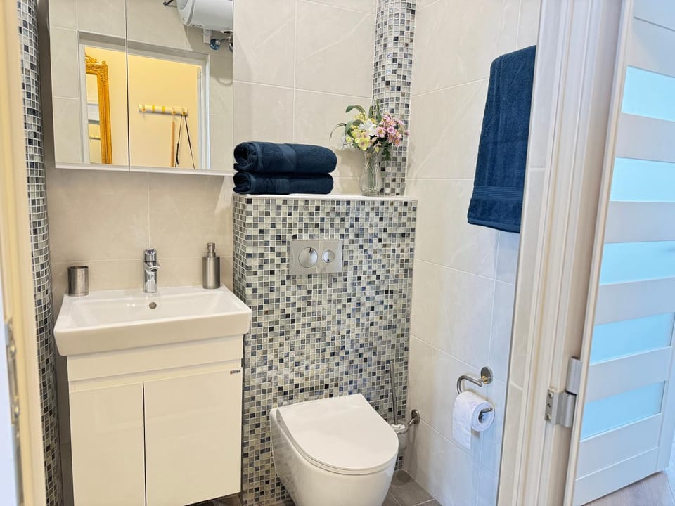 Shower, Toilet, Bathroom, towels