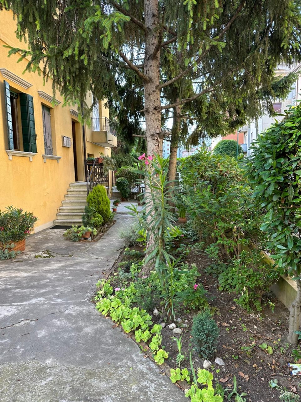 Property building, Garden view